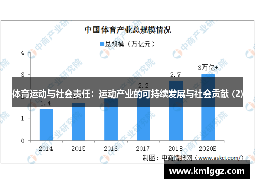体育运动与社会责任：运动产业的可持续发展与社会贡献 (2)